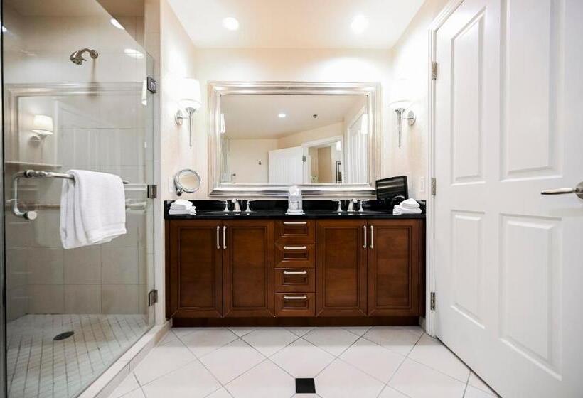 スタンダードスタジオ, Stripviewsuites At Signature