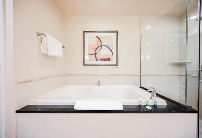 1ベッドルームアパートメント, Stripviewsuites At Signature