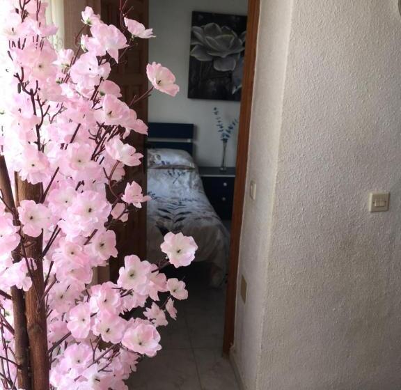 Family Suite, Casa Phoenix Bed & Breakfast