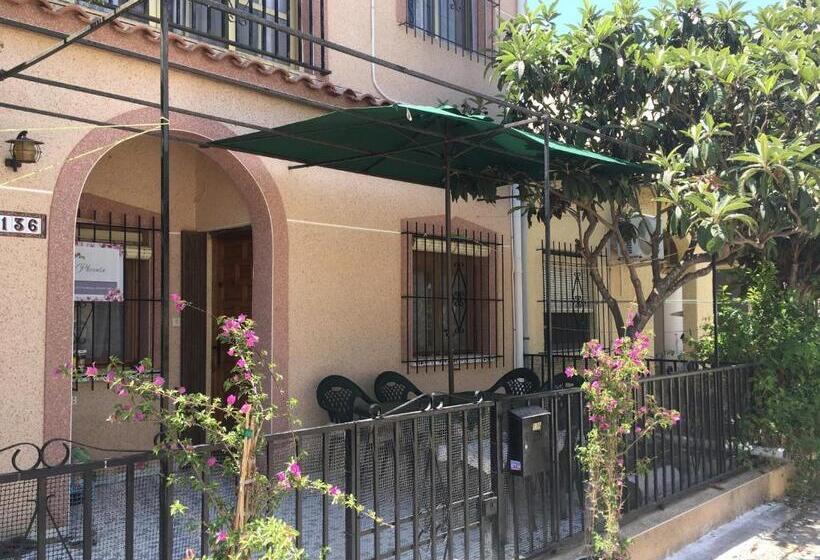 패밀리 스위트, Casa Phoenix Bed & Breakfast