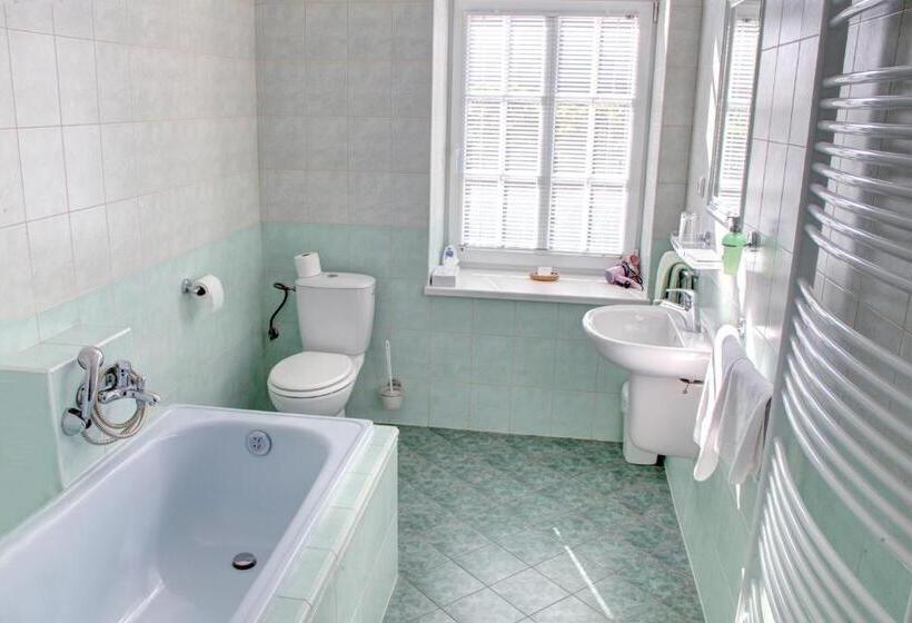 バルコニー付きデラックスルーム, Penzion Tillerova Vila