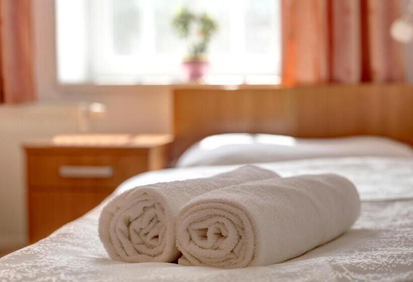 身障者適用スタンダードルーム, Penzion Tillerova Vila