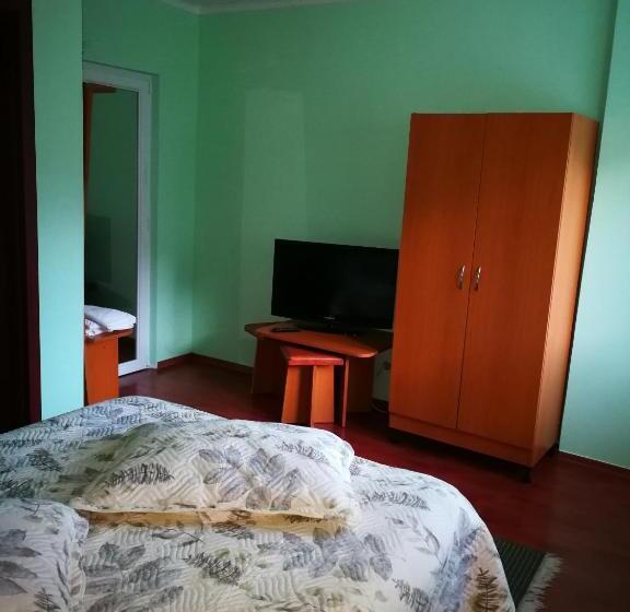 스탠다드 룸 킹사이즈 침대, Pensiunea Marion