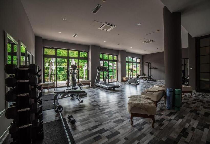 اتاق سوپریور سه تخته, Kostelski Buk