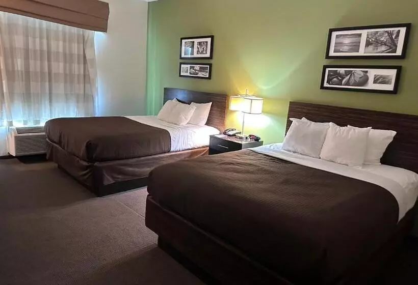 ２ダブルベッドのスタンダードルーム, Sleep Inn & Suites Gulfport