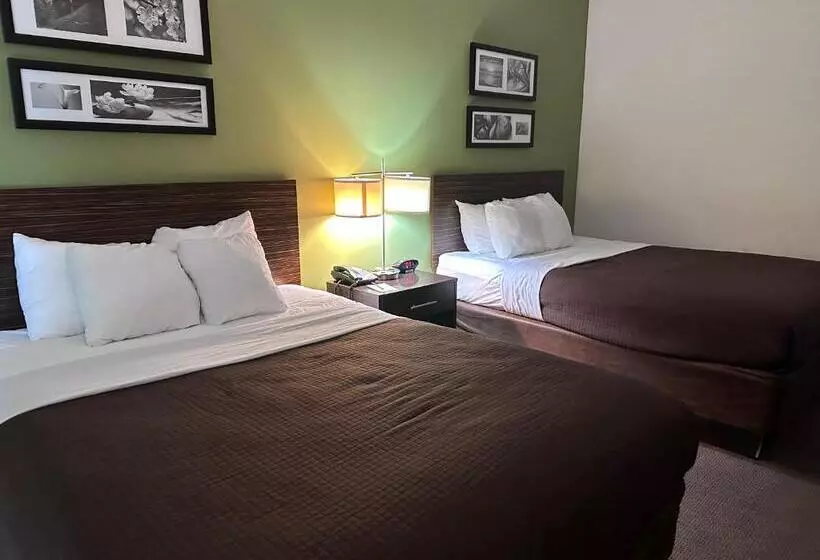 ２ダブルベッドのスタンダードルーム, Sleep Inn & Suites Gulfport