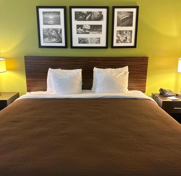 غرفة قياسية سرير كينج, Sleep Inn & Suites Gulfport