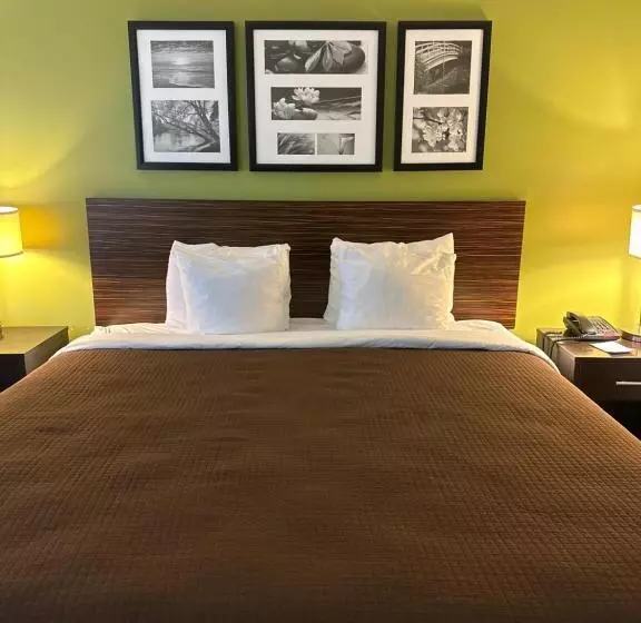 キングサイズベッドのスタンダードルーム, Sleep Inn & Suites Gulfport