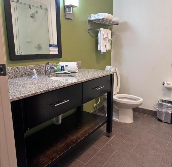 带大床的标准间, Sleep Inn & Suites Gulfport