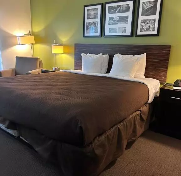 キングサイズベッドのスタンダードルーム, Sleep Inn & Suites Gulfport