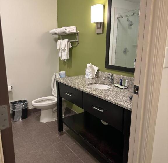 جناح سرير كينج, Sleep Inn & Suites Gulfport