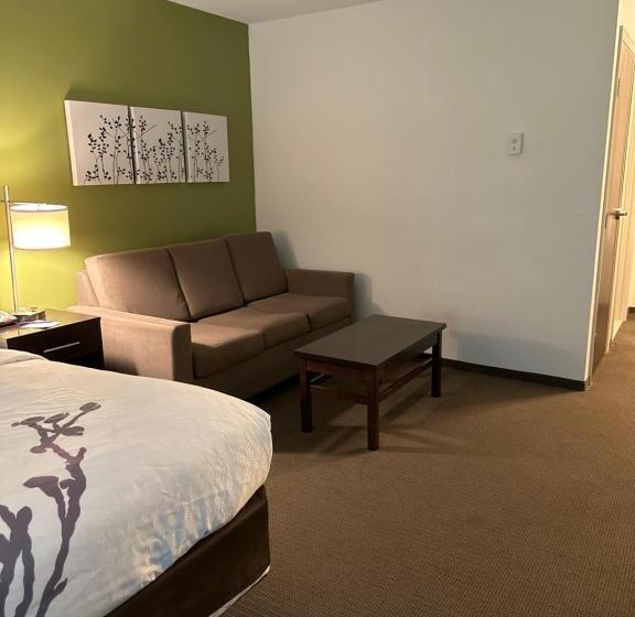 带大床的套房, Sleep Inn & Suites Gulfport