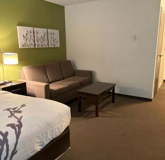 キングサイズベッドのスイートルーム, Sleep Inn & Suites Gulfport