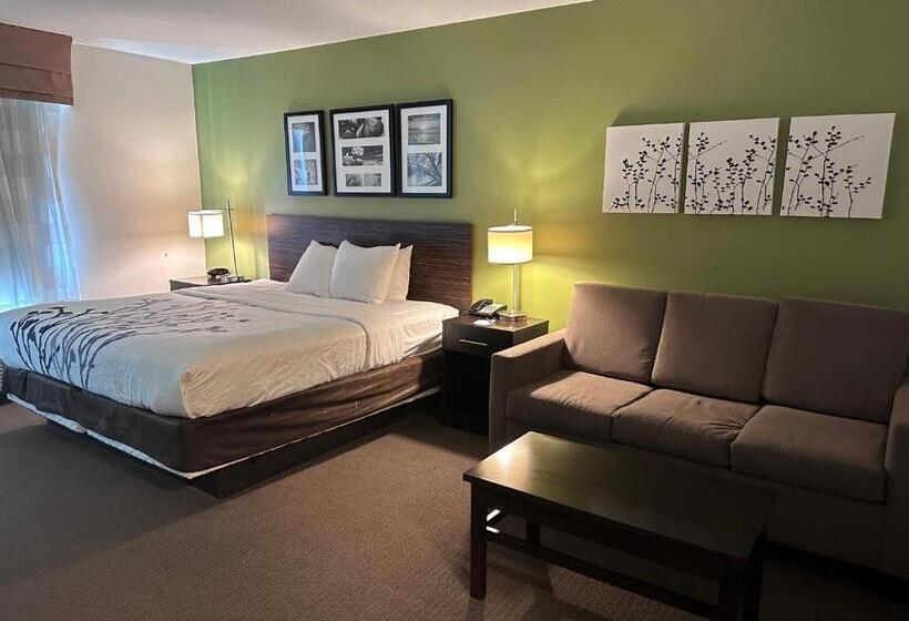 جناح سرير كينج, Sleep Inn & Suites Gulfport