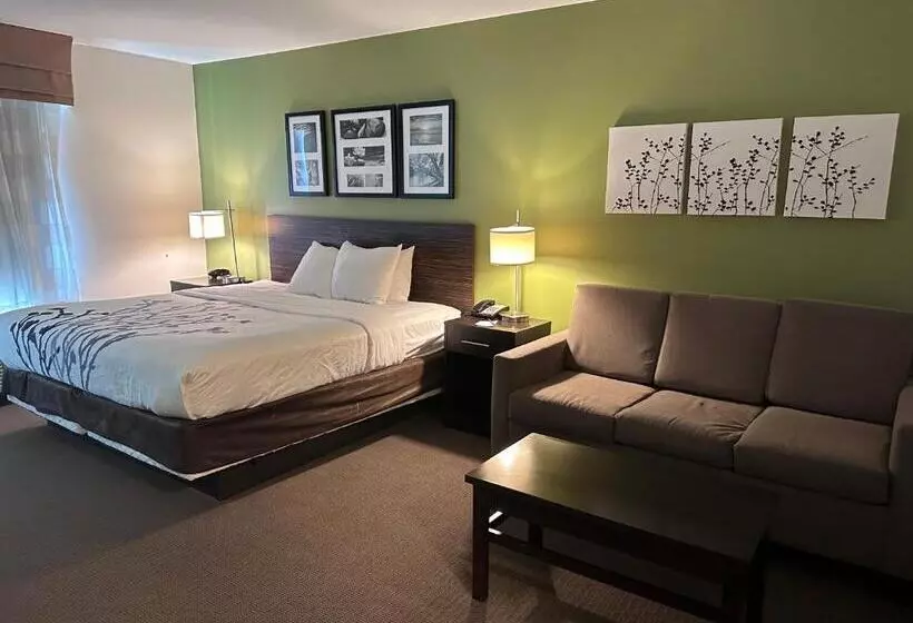 キングサイズベッドのスイートルーム, Sleep Inn & Suites Gulfport
