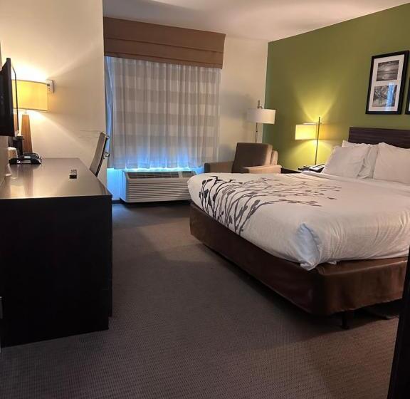 غرفة قياسية سرير كينج لذوى الإحتياجات الخاصة, Sleep Inn & Suites Gulfport