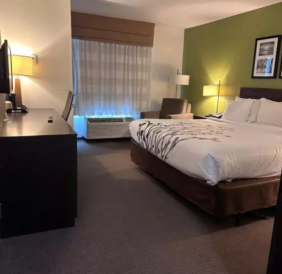 身障者適用キングサイズベッドルーム, Sleep Inn & Suites Gulfport