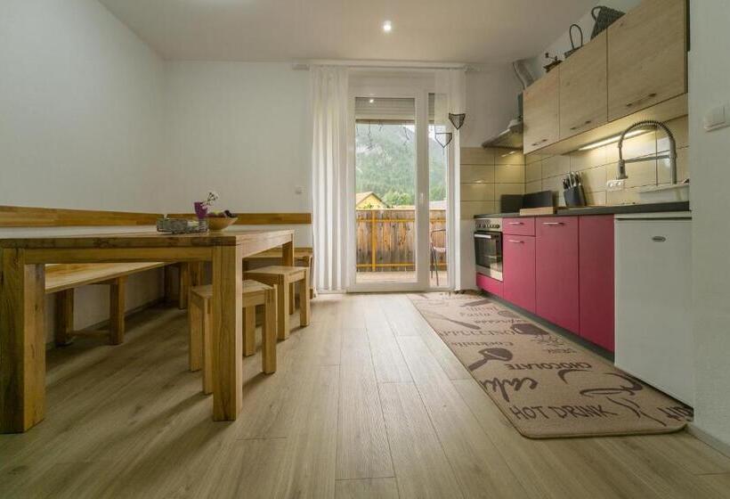 آپارتمان 1 خوابه با چشمانداز, Aparthotel Pr Jakapč