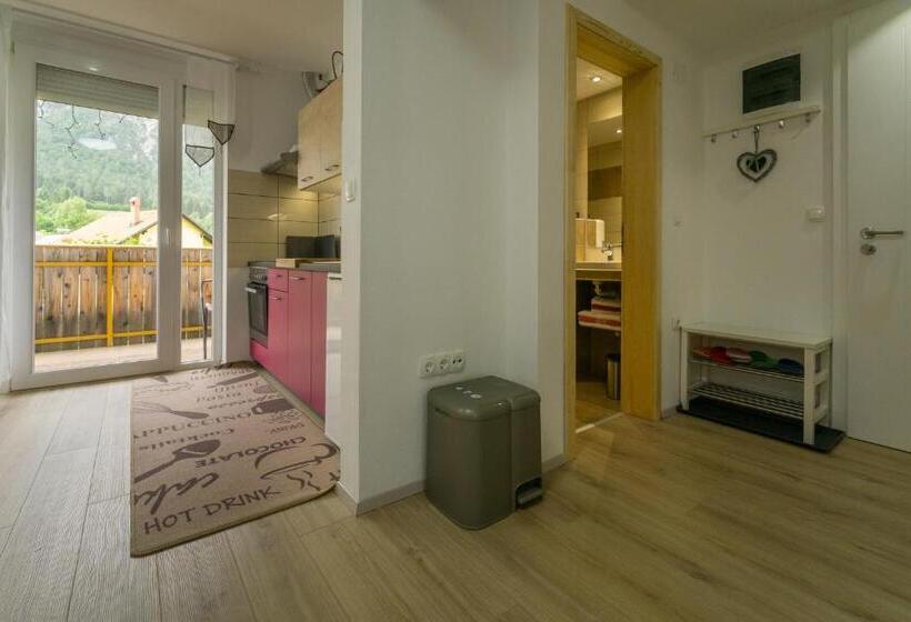 آپارتمان 1 خوابه با چشمانداز, Aparthotel Pr Jakapč