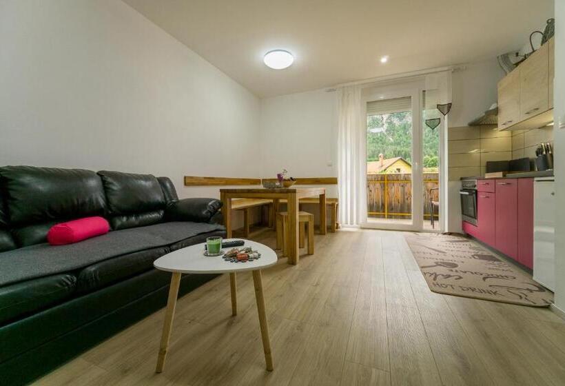 آپارتمان 1 خوابه با چشمانداز, Aparthotel Pr Jakapč