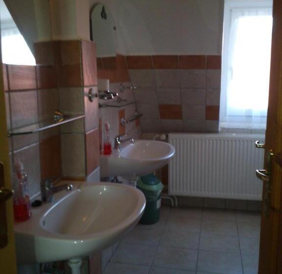 חדר משפחתי, Fenyő Panzió