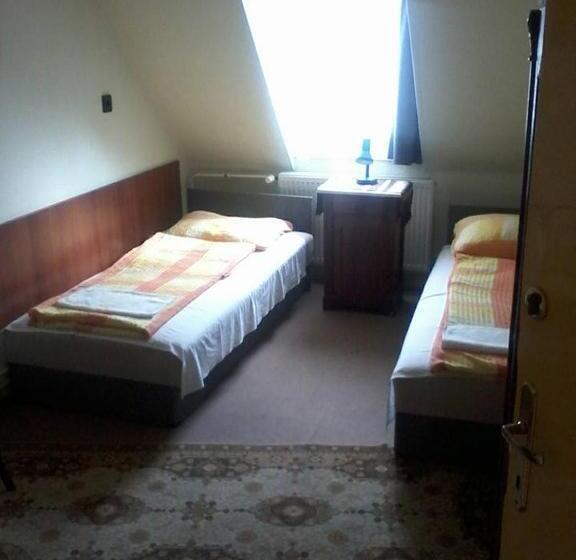 חדר משפחתי, Fenyő Panzió