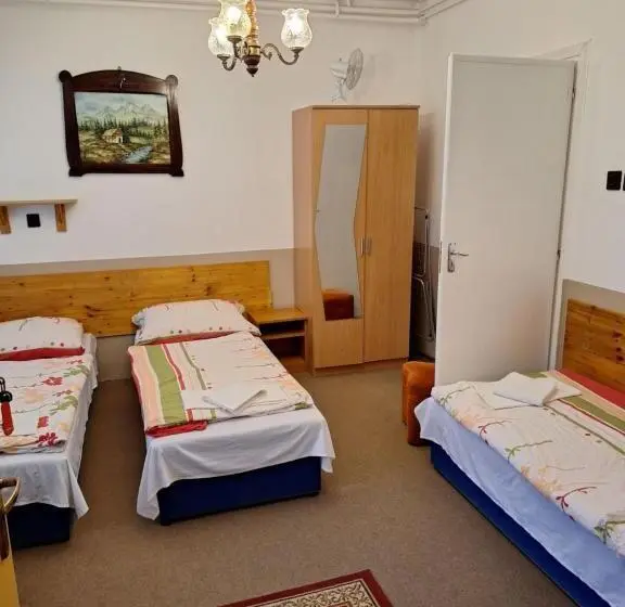 Standard Kolmen Hengen Huone, Fenyő Panzió
