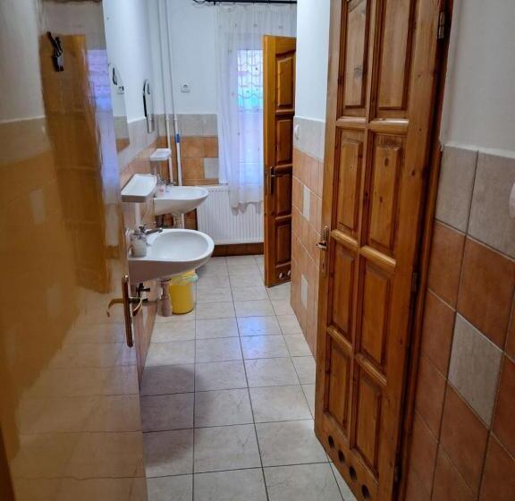 חדר משפחתי, Fenyő Panzió