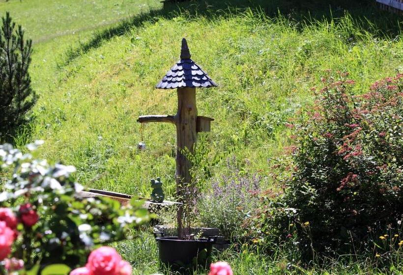 스탠다드 룸, Bauerndörfl Hüttschlag