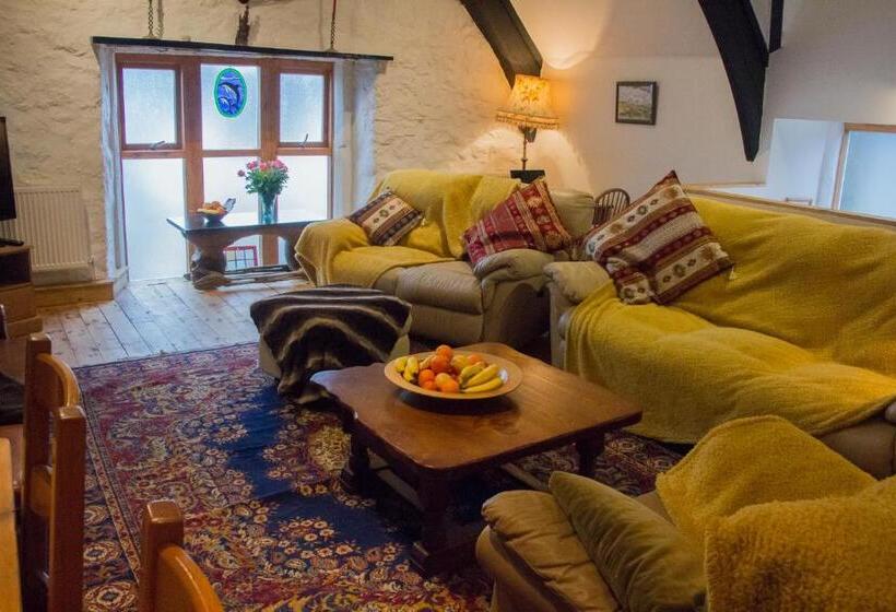 스탠다드 룸, James John Hamilton House And Backpacker Hostel