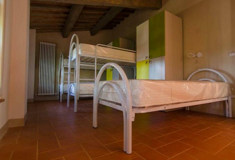 共用房间的床, Ostello San Miniato