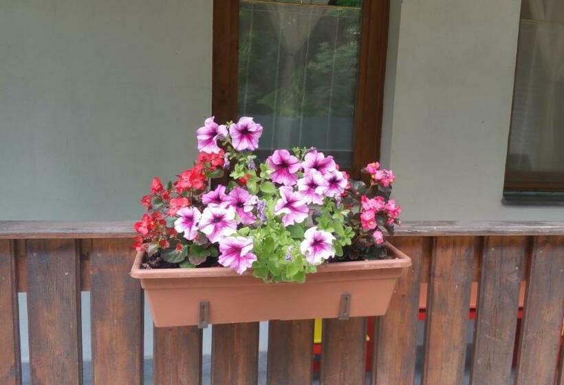 침실 2개 아파트, élő Tisza Vendégház