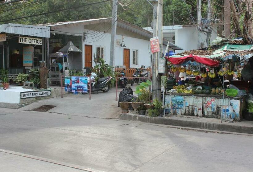 شقة غرفة واحدة, Rec Art