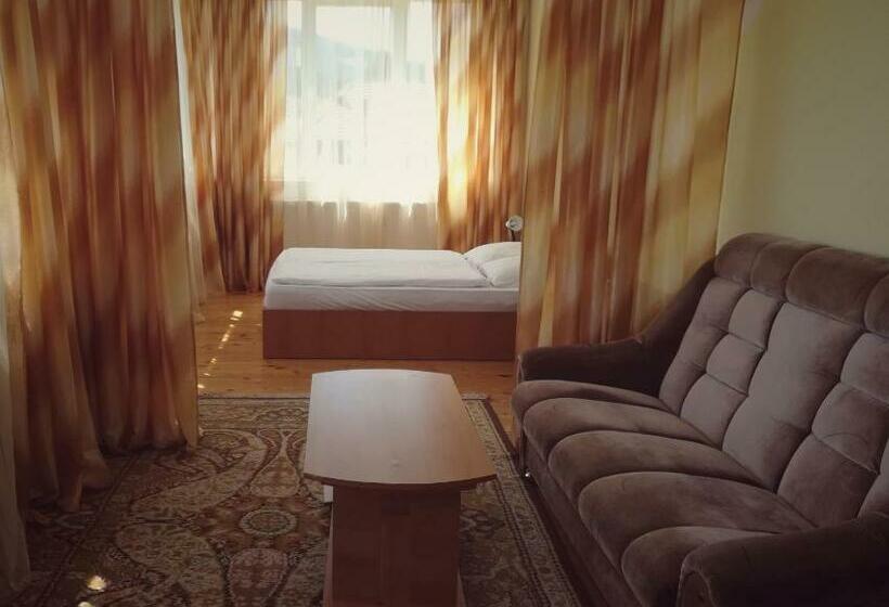 Номер Стандарт, Pensiunea Apolka Panzió