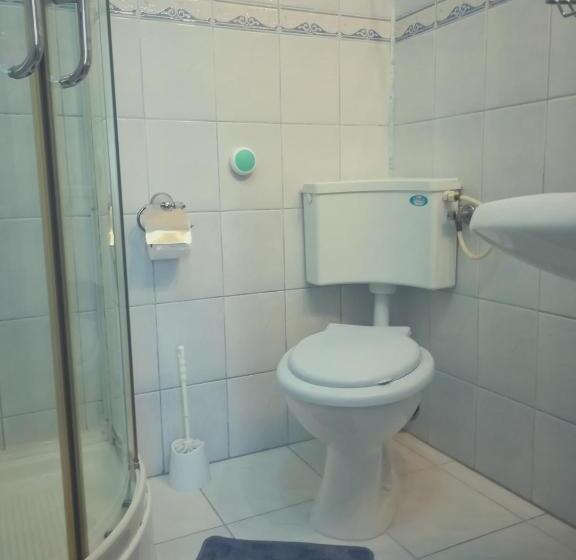 Номер Deluxe с Балконом, Pensiunea Apolka Panzió