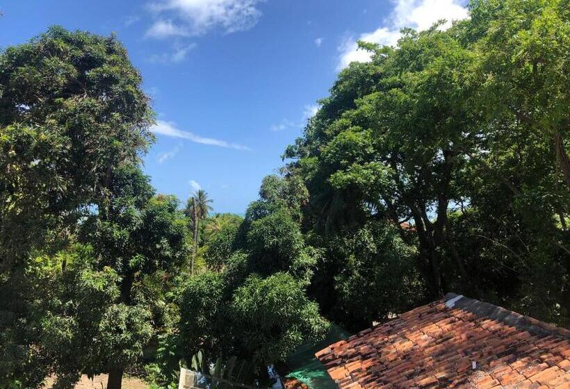 スタンダード４人部屋, Pousada São Pedro