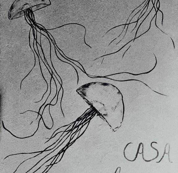 スタンダードルーム, Casa Acquamarina