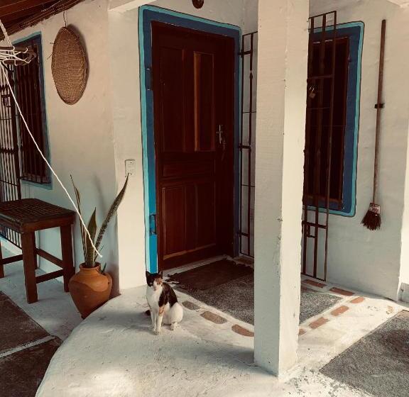 ガーデンビュースタンダードルーム, Casa Acquamarina