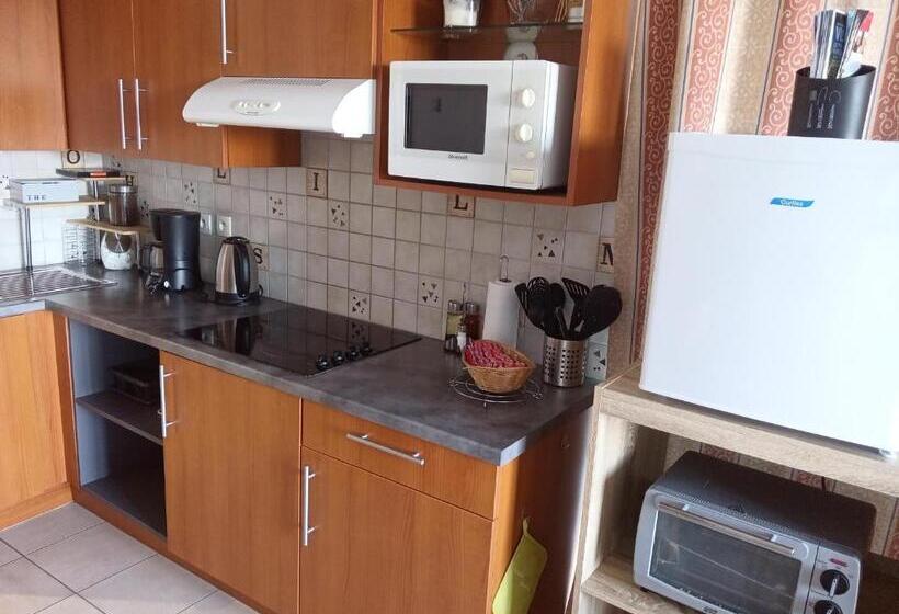 １ベッドルームのデラックスアパートメント, Le Repaire Du Golfeur De La Largue   Mooslargue