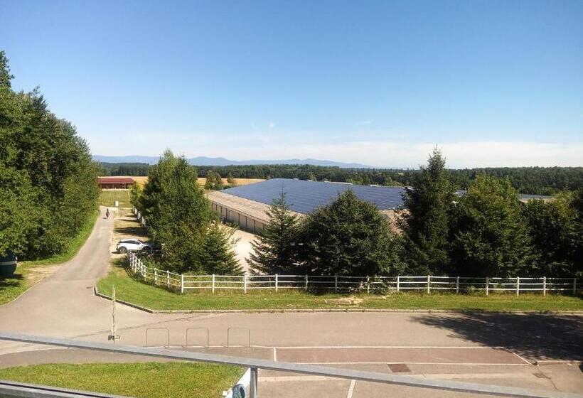 １ベッドルームのデラックスアパートメント, Le Repaire Du Golfeur De La Largue   Mooslargue