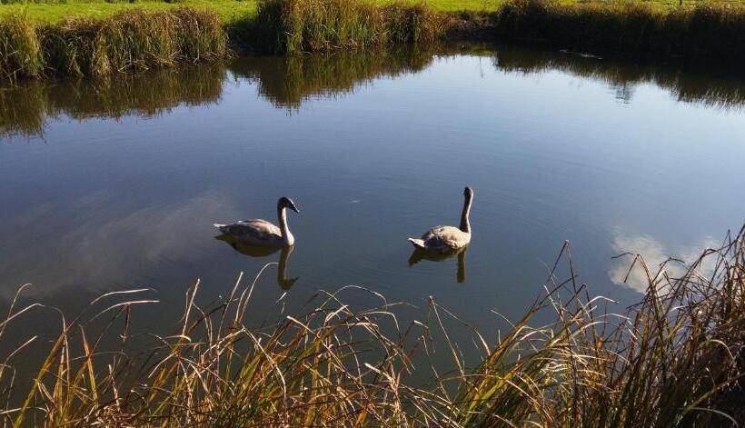 １ベッドルームのデラックスアパートメント, Le Repaire Du Golfeur De La Largue   Mooslargue