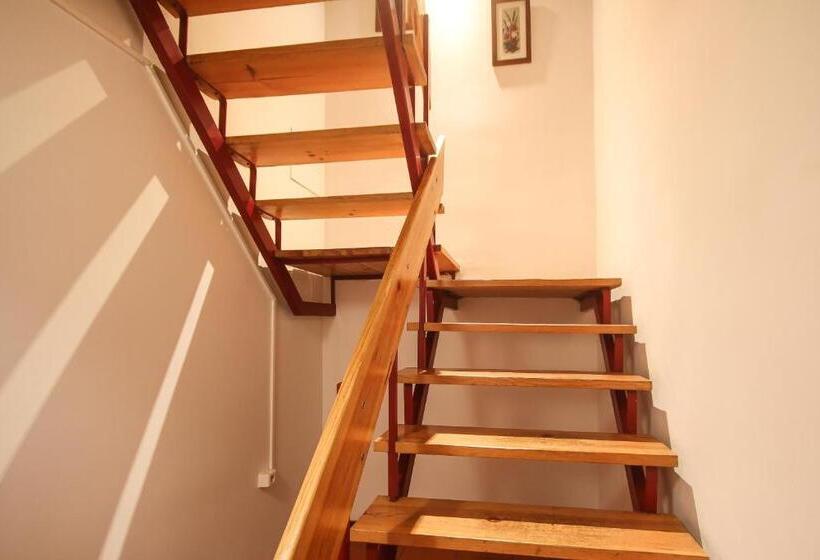 سوییت لوکس, Celas Dream Studio