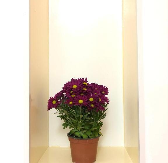 חדר סטנדרט, Monterussi Bed And Breakfast