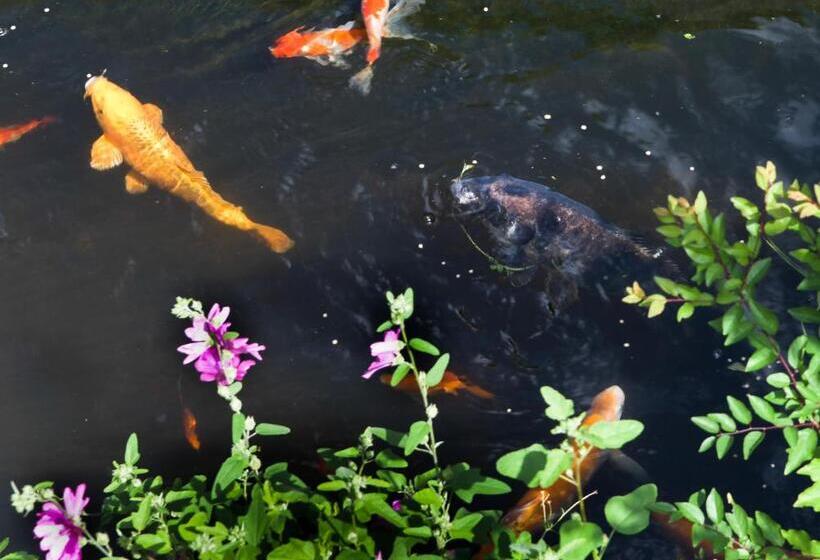 Standardzimmer, B&b E48