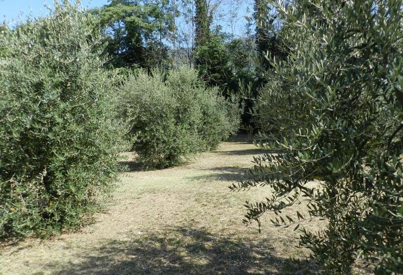 اتاق استاندارد با تخت بزرگ, B&b Villa Maria