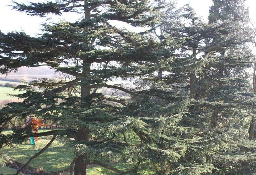 Номер Комфорт, Château De La Folie