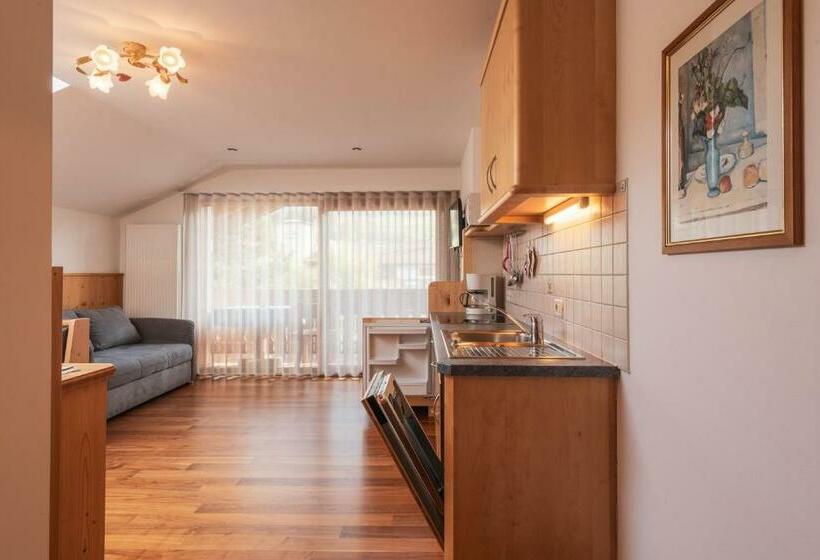 آپارتمان 1 خوابه, Garni Residence Trocker