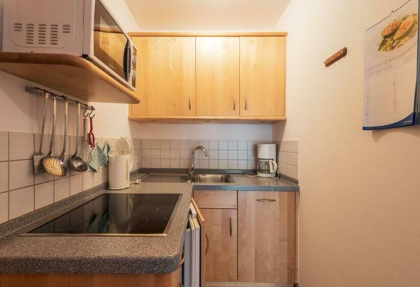 آپارتمان 1 خوابه, Garni Residence Trocker