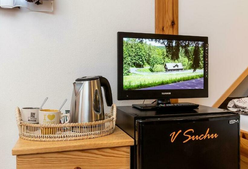 豪华三人间, Penzion V Suchu