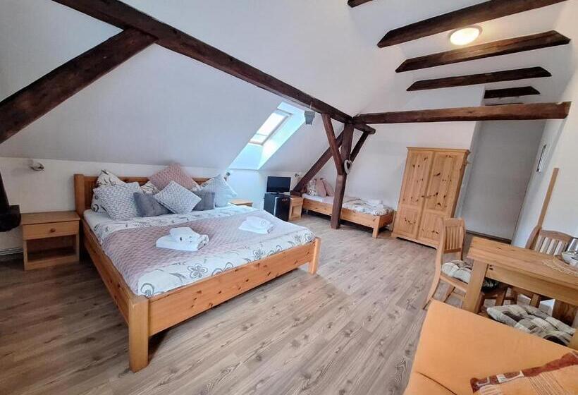 豪华三人间, Penzion V Suchu